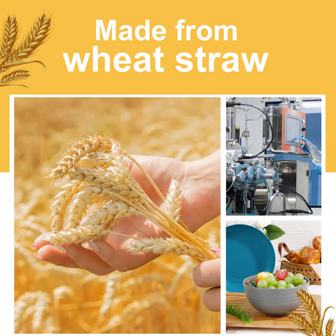 Rubtlamp versatile dinnerware set; ideal for picnics, offices, and home dining