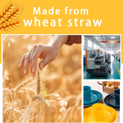 Rubtlamp travel picnic friendly dinnerware for meals on the go