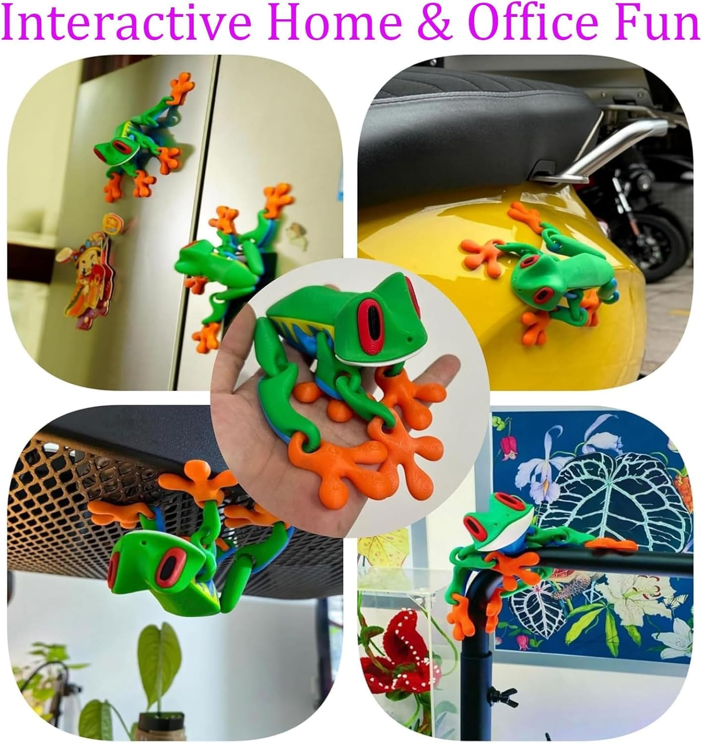 RWSEFK gift-ready frog magnet ideal for desks and kitchens