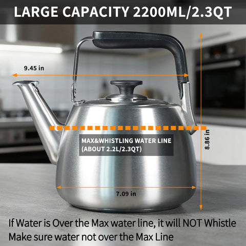 SADOMAIN 2.3 qt capacity ideal for families and small gatherings