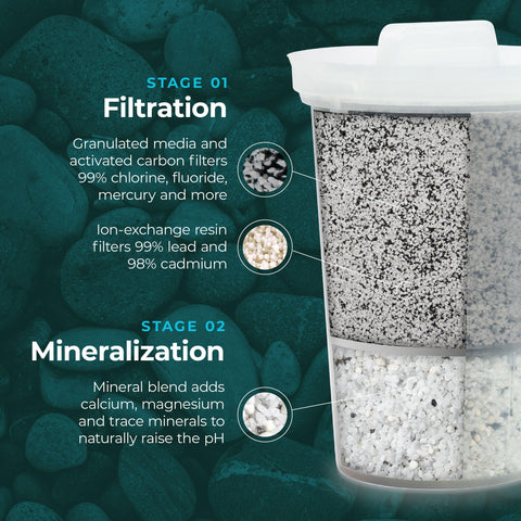 Santevia MINA filter cartridge inside view highlights filtration and mineral restoration.