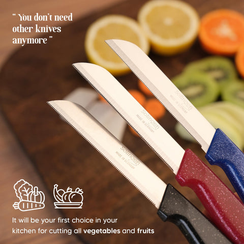 Schneidex Solingen-made knife showing craftsmanship and durable stainless steel blades.