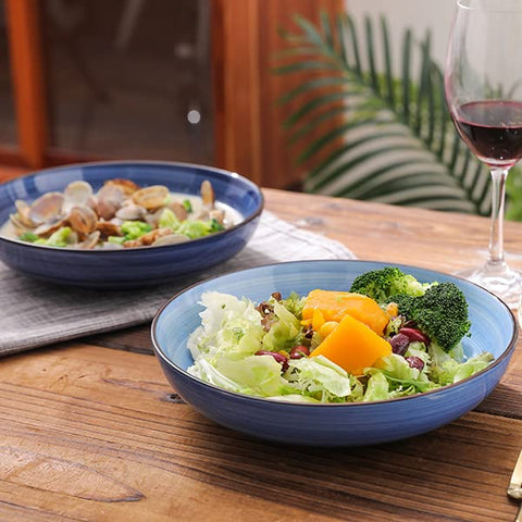 Selamica gradient blue bowls safe for microwave reheating