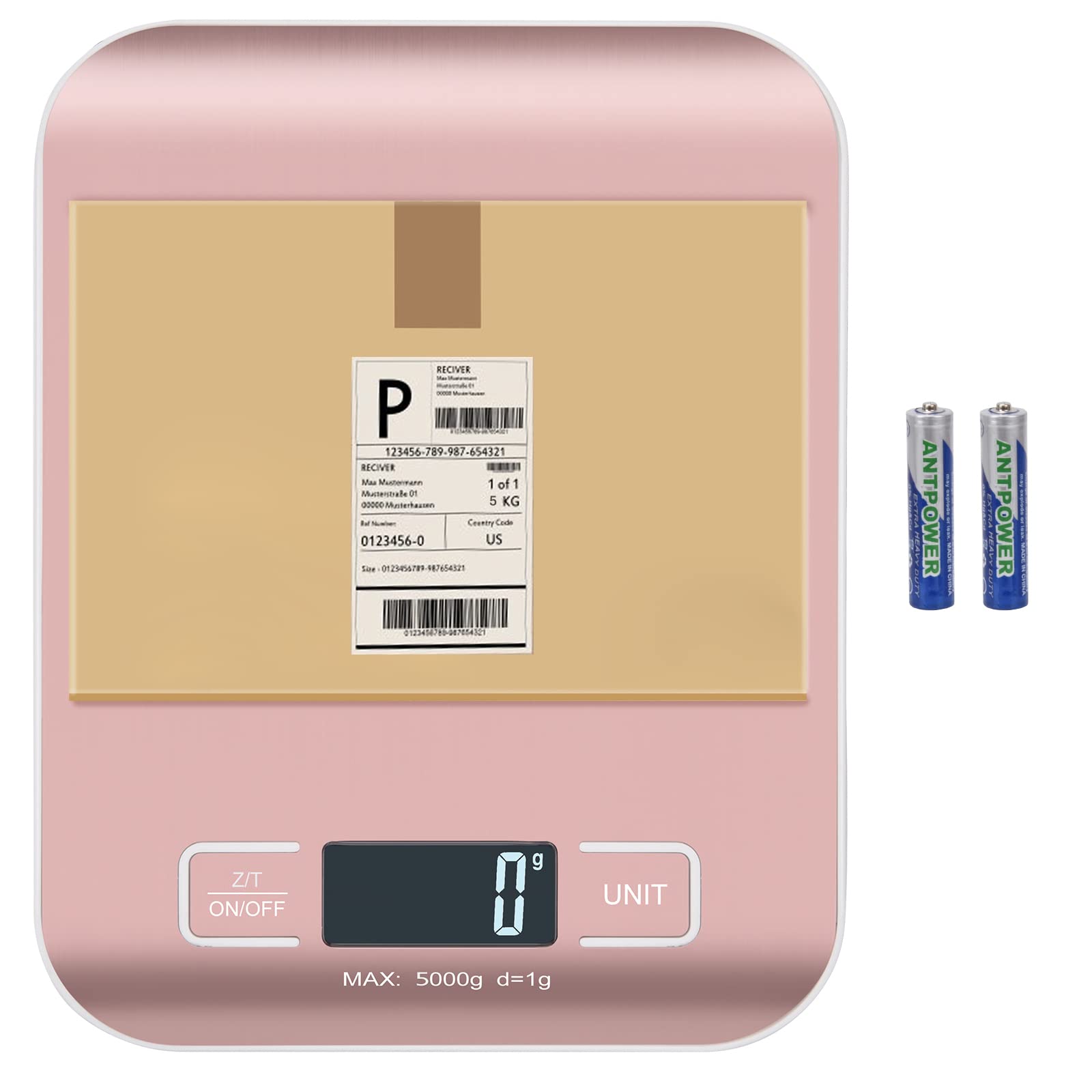 Selegere scale showing stainless panel and durable build for daily use