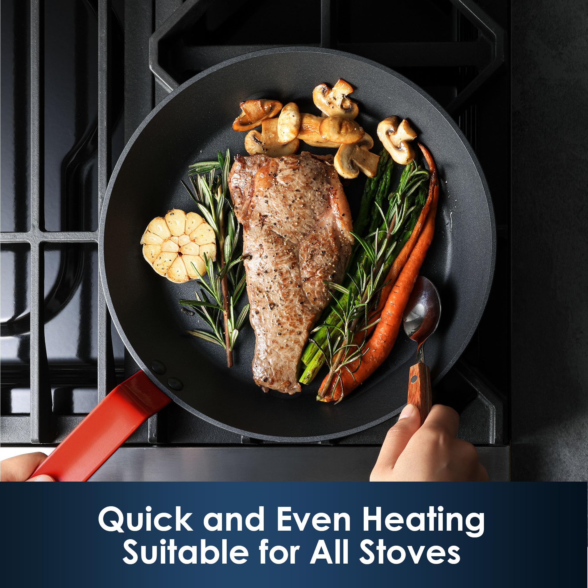 Sensarte induction-compatible base image demonstrates universal stovetop use