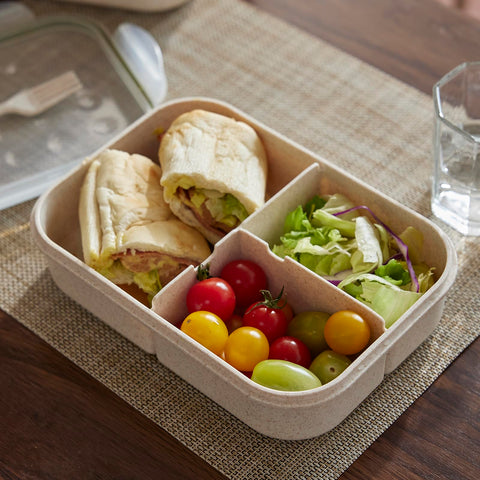 SEVENY Bento Box on active desk setup shows versatile lunch options.