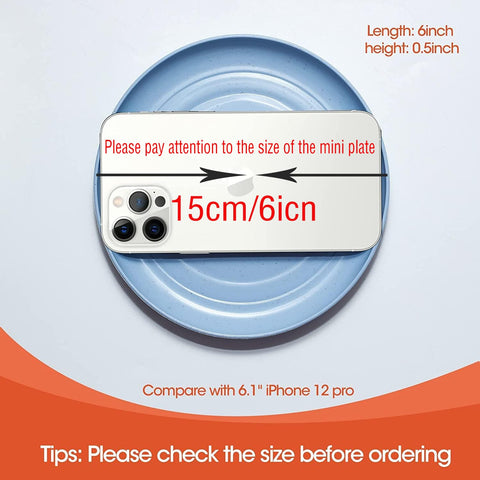 SHECIPIN wheat straw plates in blue ready for picnics and outdoor meals