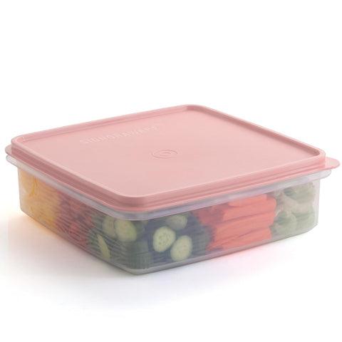 SIGNORA WARE 3L cupcake carrier with airtight lid keeps treats fresh