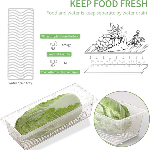 SILIVO BPA-free PP material container keeps fruits and vegetables safe and clean.