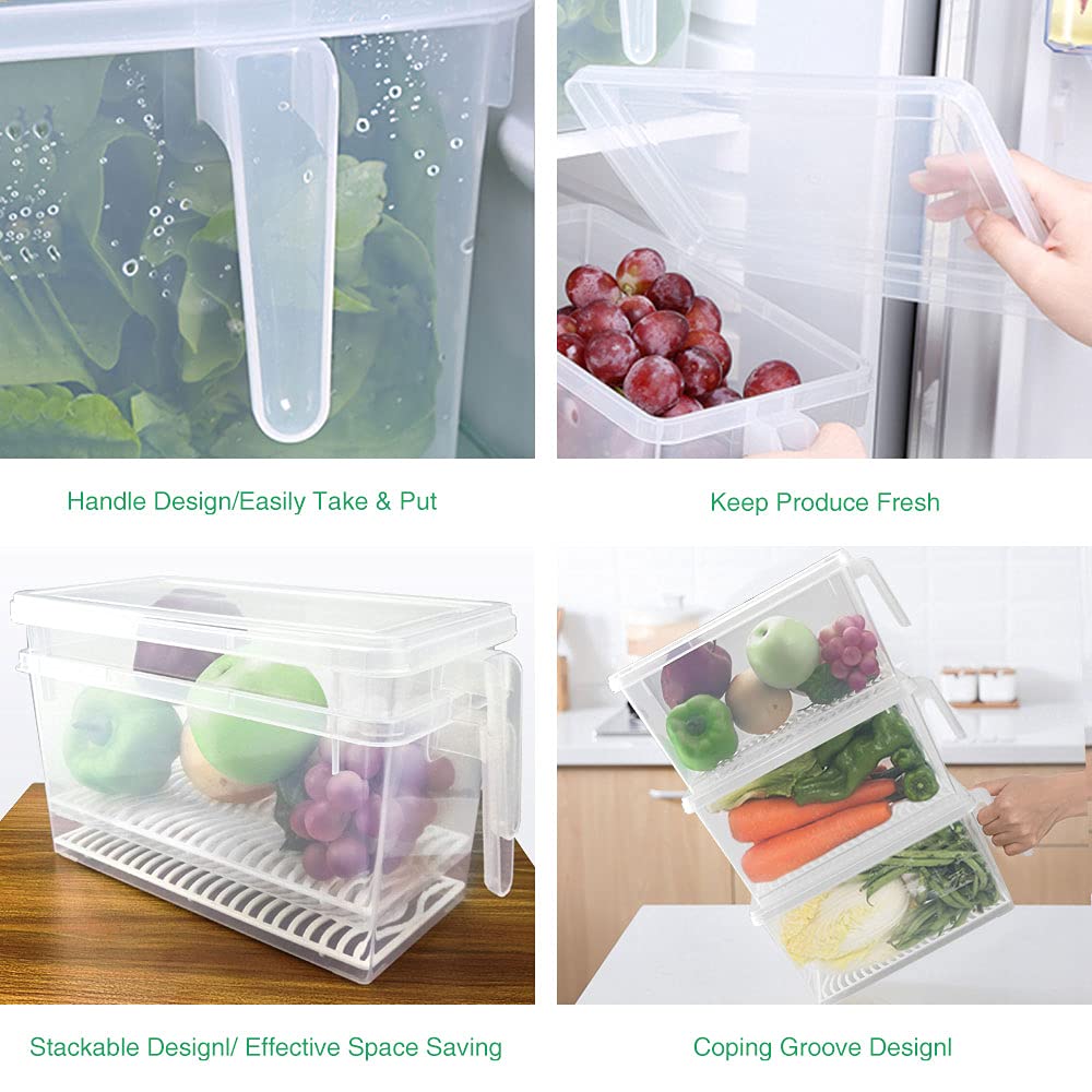 SILIVO 3-pack keeps lettuce, celery, and berries neatly organized.