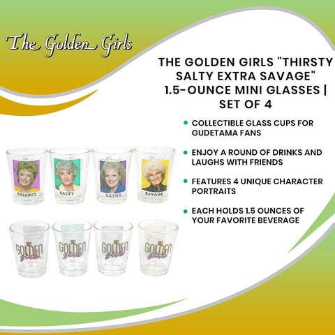 Silver Buffalo The Golden Girls four-piece set suits themed parties and gifts.
