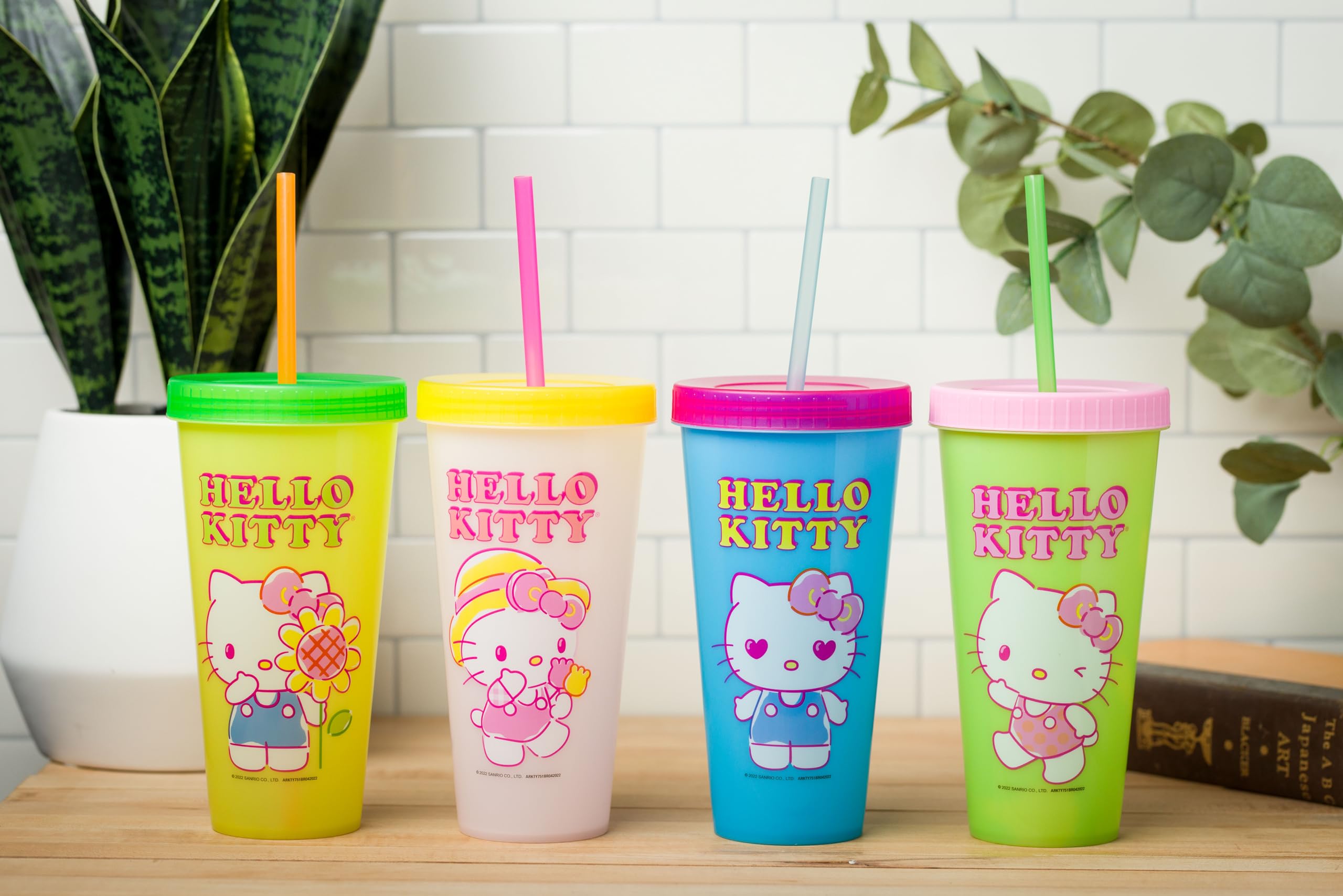 Official Silver Buffalo Hello Kitty merch gift set for fans of all ages