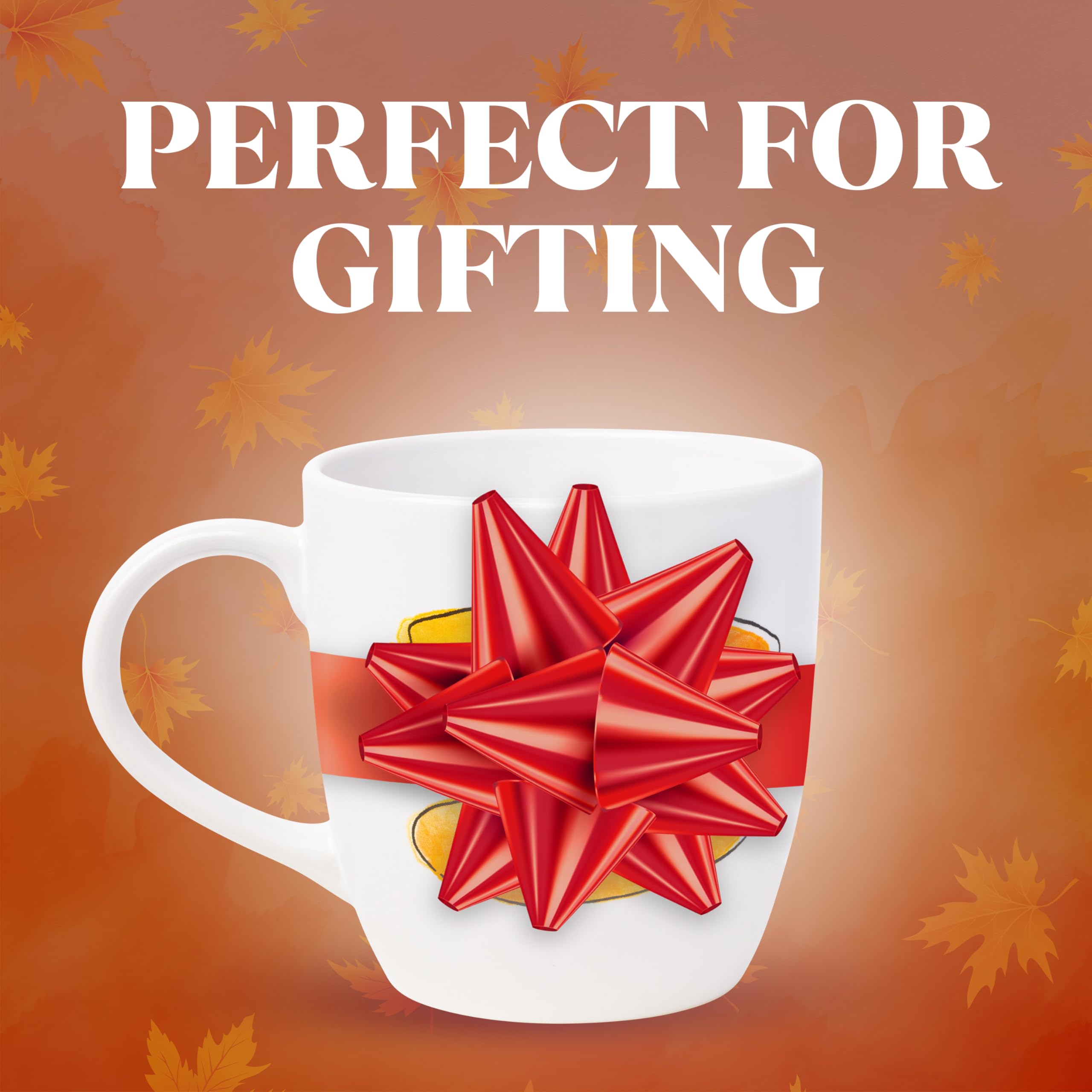 Silver Buffalo officially licensed Gilmore Girls mug for collectors