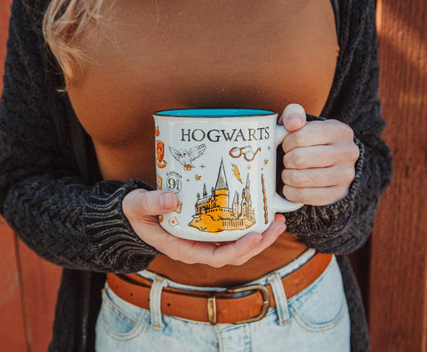 Silver Buffalo Quidditch icon mug designed for fans, ideal for daily coffee rituals.