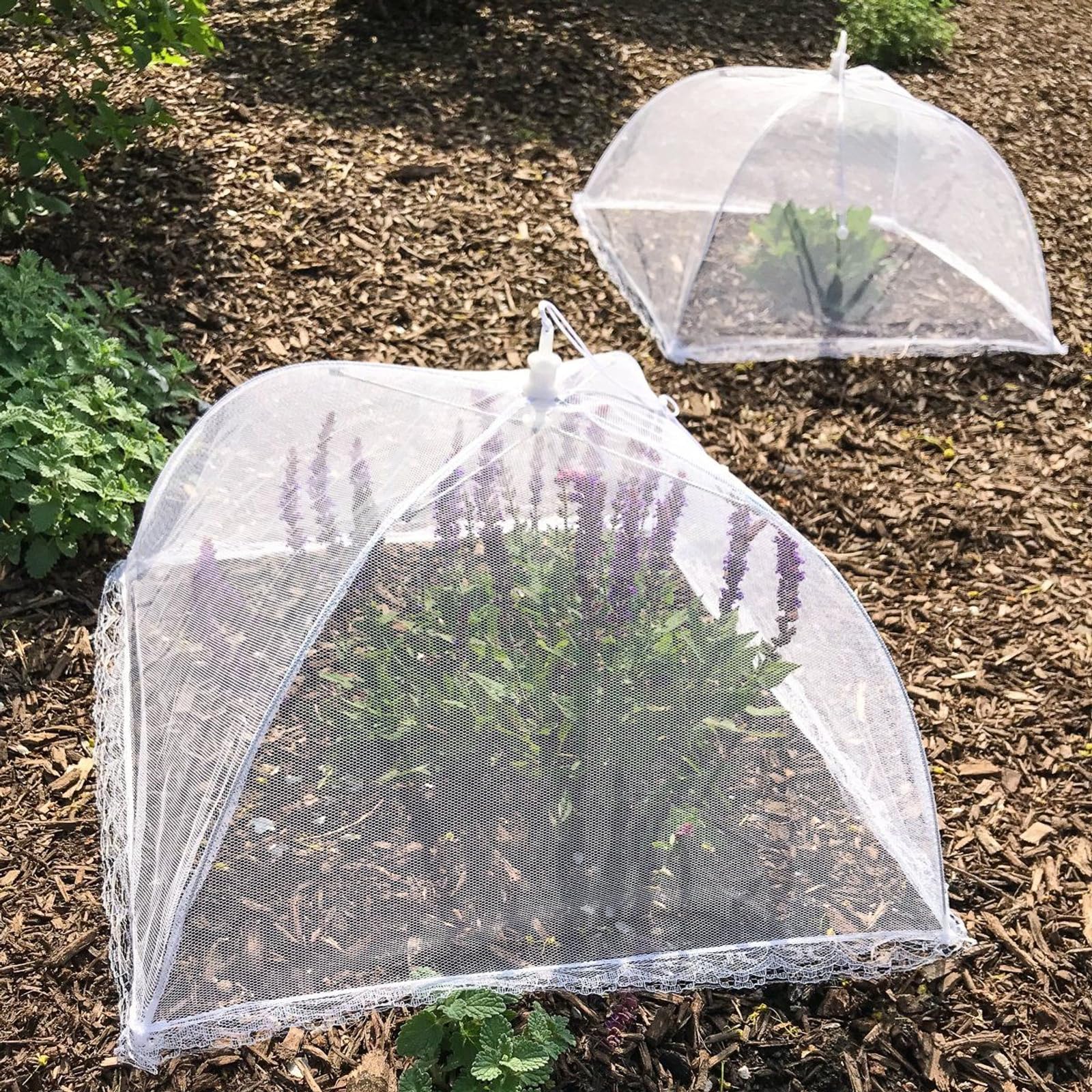 Simply Genius pop-up mesh cover white 6-pack keeps meals organized for outdoor events