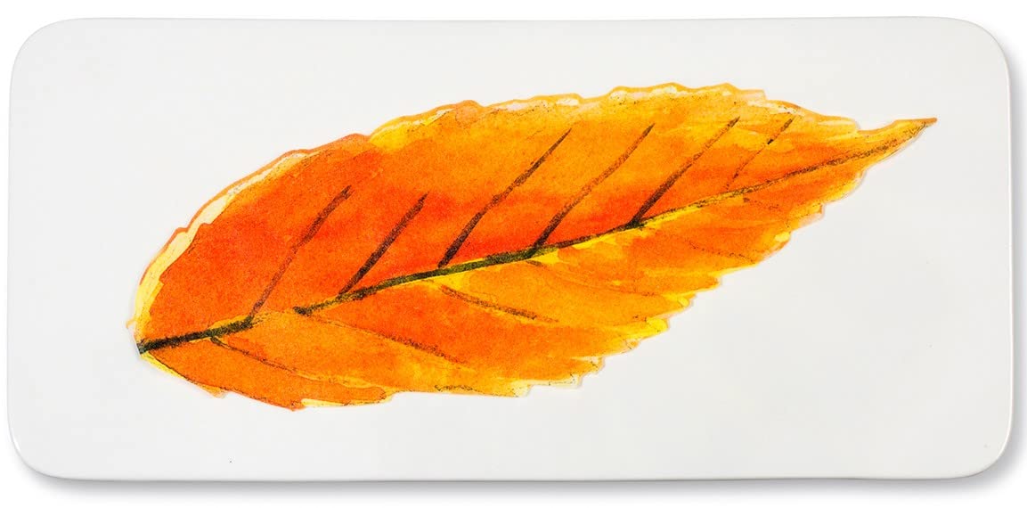 Sisson Distribution parchment leaves used as coasters under glasses for stylish protection.