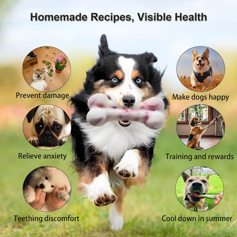 SIUPER bone mold frozen treats ready for cooling dogs