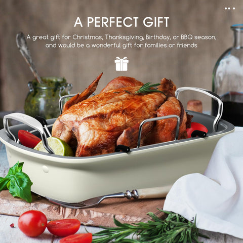 Slow Slog nonstick roaster for meat and vegetables with release.