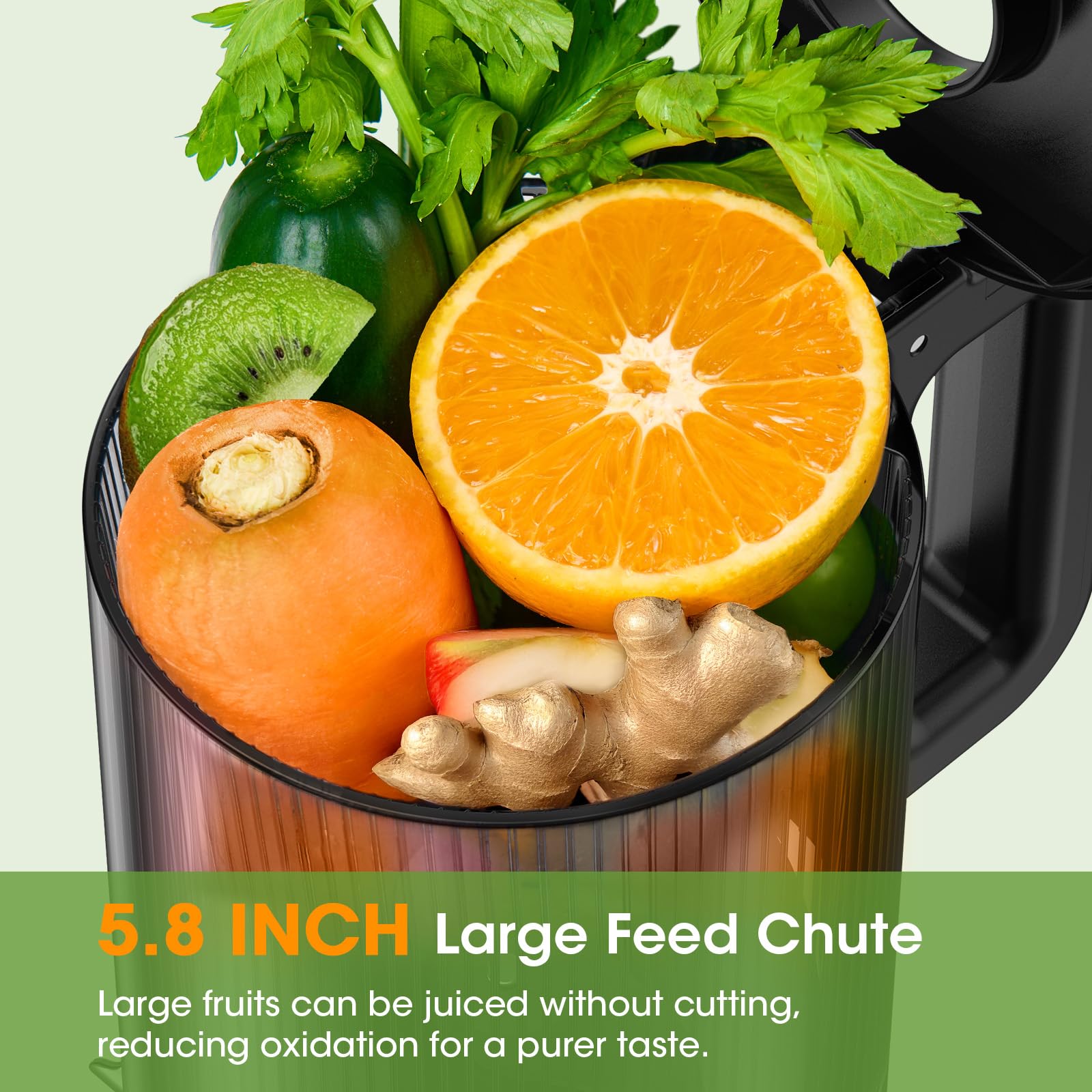 Close-up of 300W motor and compact design from SmallHOO juicer.