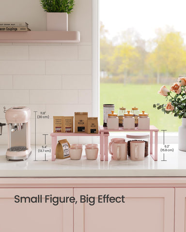 SONGMICS easy-assembly kitchen storage kit for quick setup