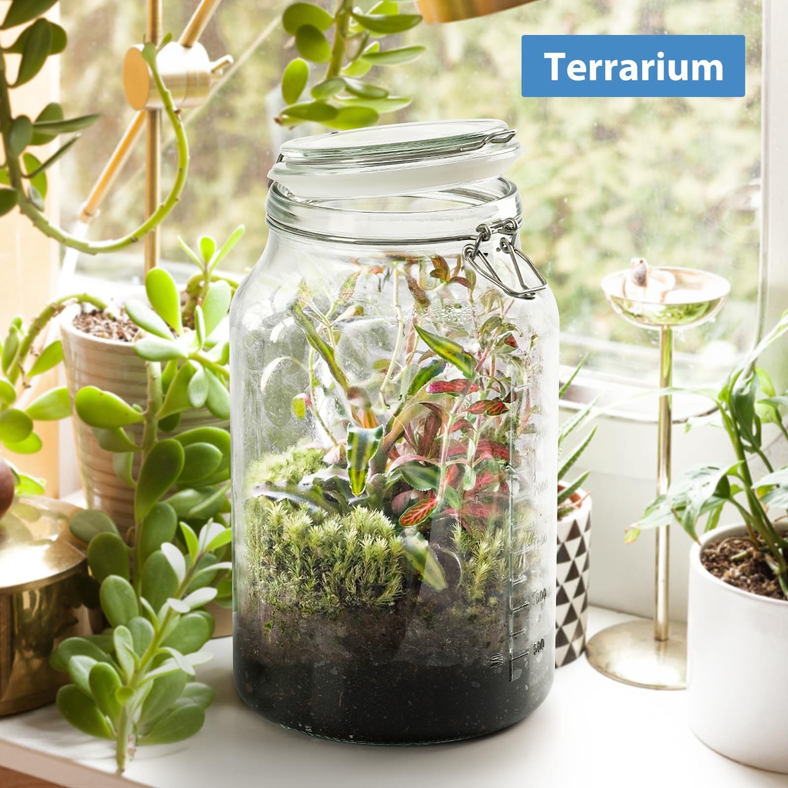 Sovietiep BPA-free reusable glass supports safe food storage and eco-friendly use.