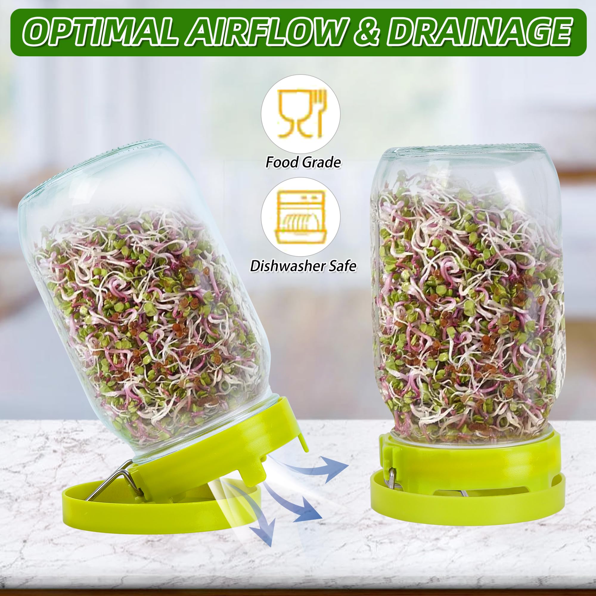 Sozize sprouting kit ideal for beans, lentils, and grains.