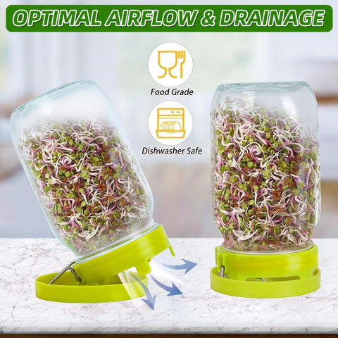 Sozize sprouting kit ideal for beans, lentils, and grains.