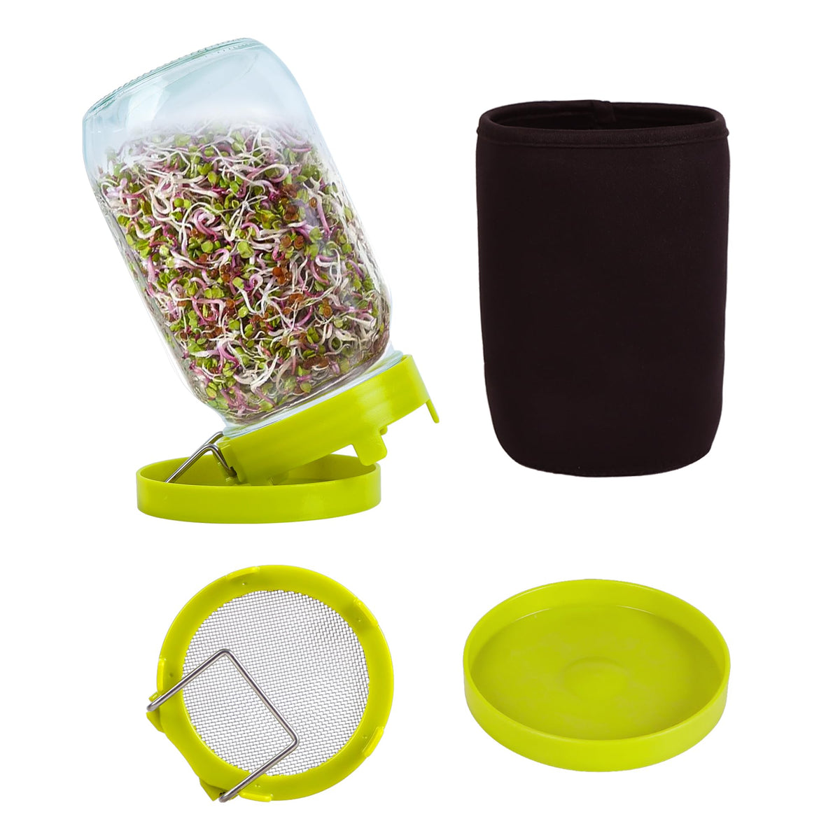 Sozize Sprouting Kit wide-mouth jar ready for soaking and rinsing sprouts.