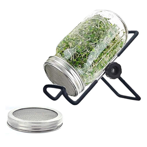 SRXES sprouting jar setup lets you grow fresh sprouts at home.