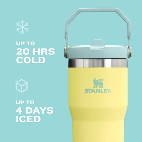 STANLEY IceFlow 2.0 tumbler in Prickly Pear color keeps drinks refreshed.