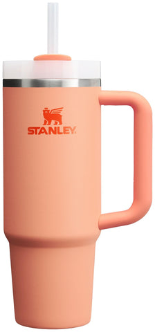 Stanley Quencher H2.0 with handle, side view for daily hydration.
