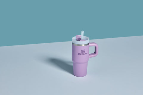 STANLEY Quencher H2.0 handle-tumbler simplifies carrying at work or gym.