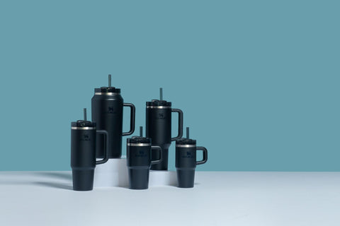 STANLEY Quencher H2.0 BPA-free bottle for daily hydration