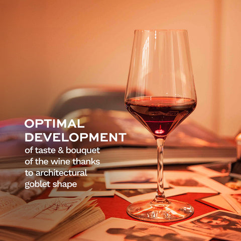 Dishwasher-safe Stölzle Lausitz Revolution glass for easy cleanup.