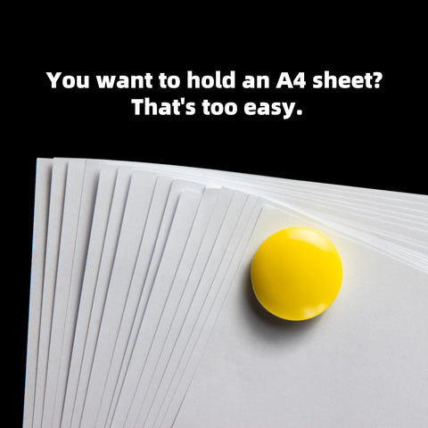 Sunurs magnets gift-ready packaging, perfect for gifting and immediate display.