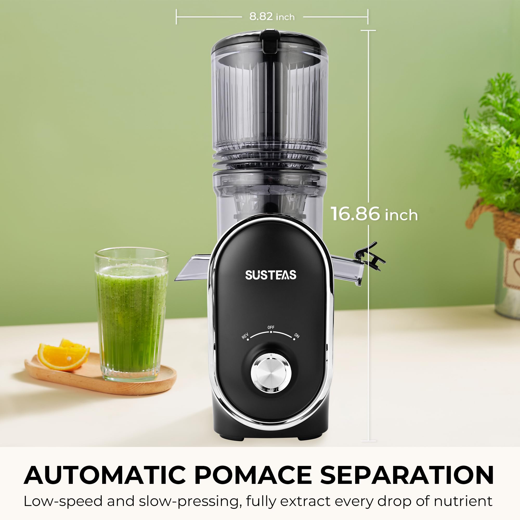 SUSTEAS cold press juicer in a stylish kitchen scene ready for daily use