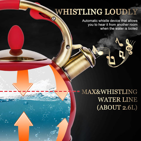 SUSTEAS whistle in action with audible boil signal.