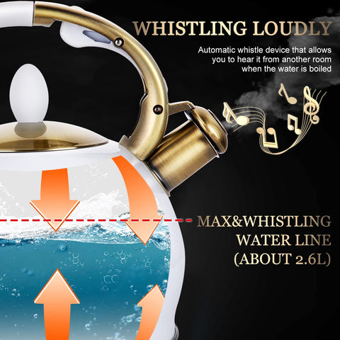 SUSTEAS large-capacity whistling kettle visible from across the room