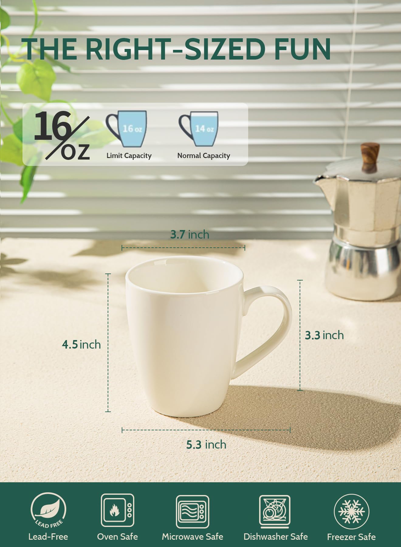 Sweese 16 oz mug with modern white design for home or office.