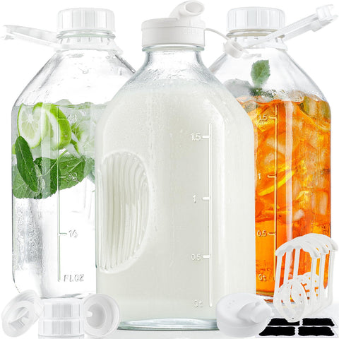 Syntic 3-pack glass water bottles with handles for easy daily hydration
