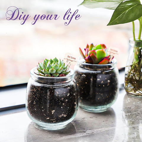 Syntic candy display jars with twine and rustic charm