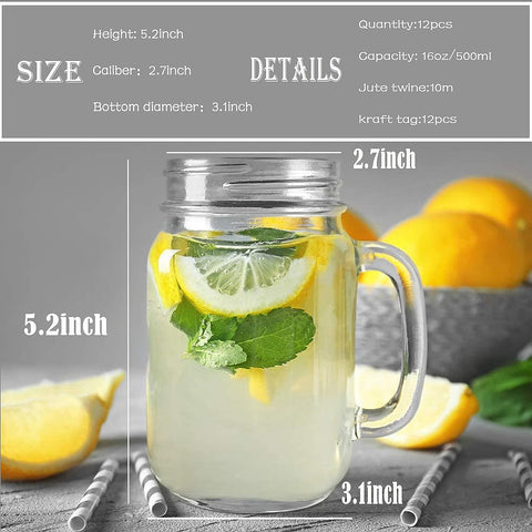 TANGLONG mason jars in clear glass with handles designed for easy sipping.
