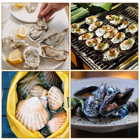 Tarpop compact kitchen tool bundle for versatile seafood prep at home.
