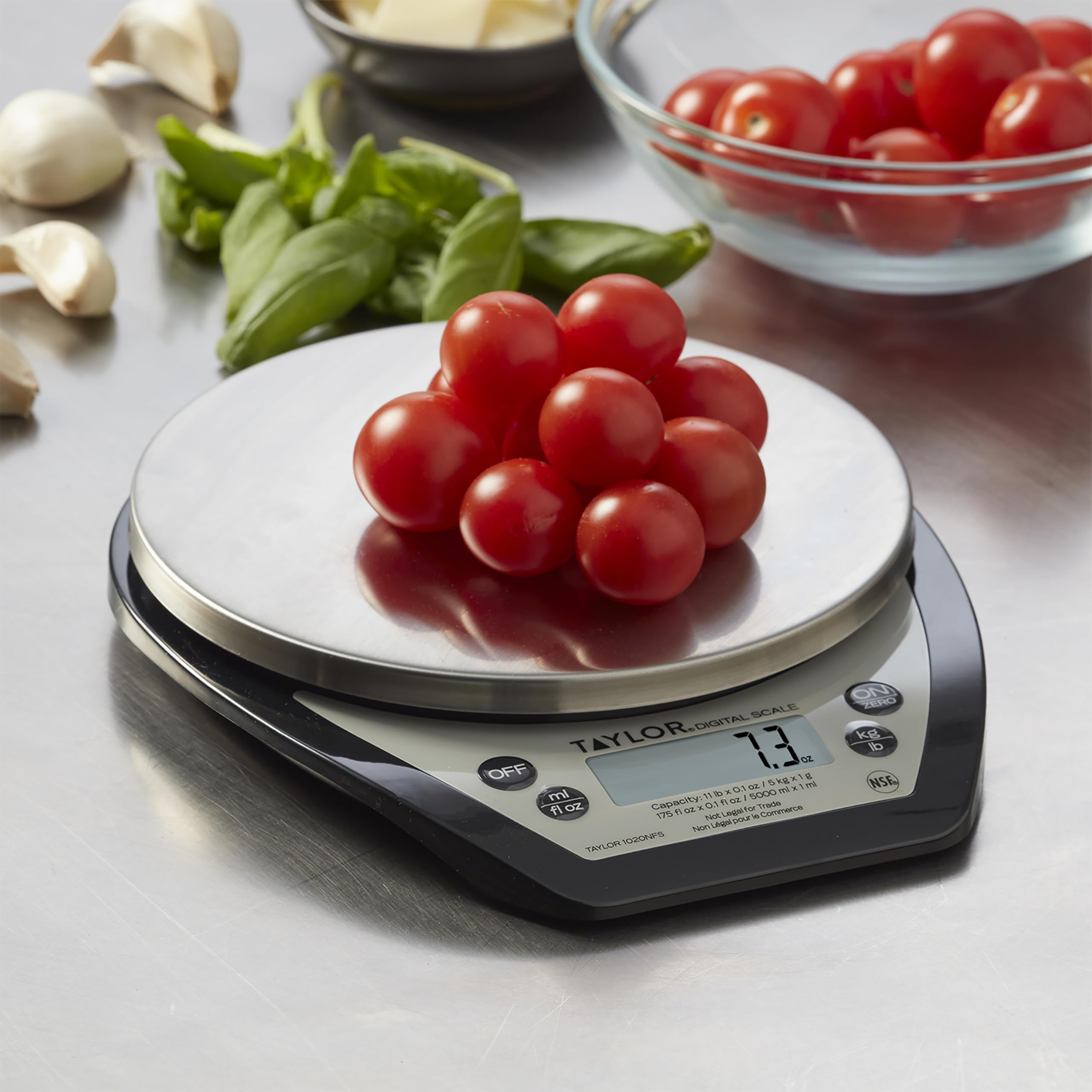 Taylor 1020NFS liquid and dry weighing view, precise in 0.1 oz/1 g increments.