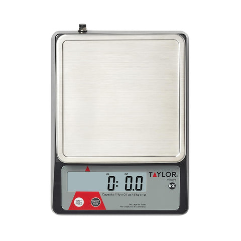 Taylor TE10FT dual power options with AC adapter or batteries.