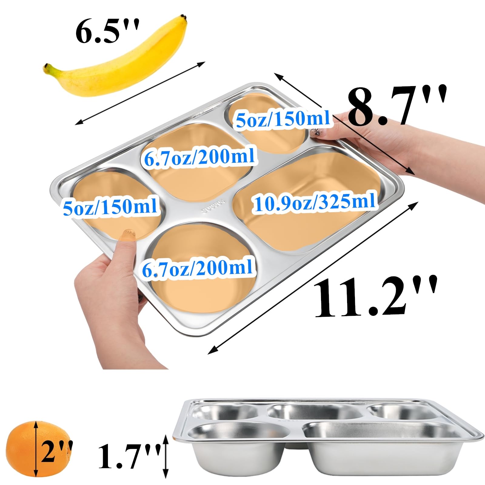 Tebery 5-section stainless steel plate close-up highlights durable BPA-free design.