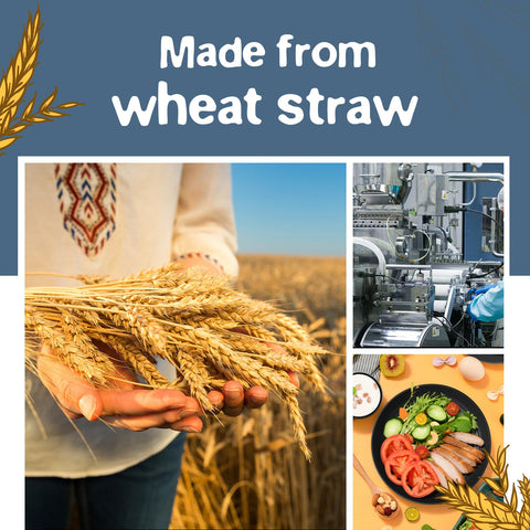 Teivio 88-piece cups and flatware complete casual table settings.