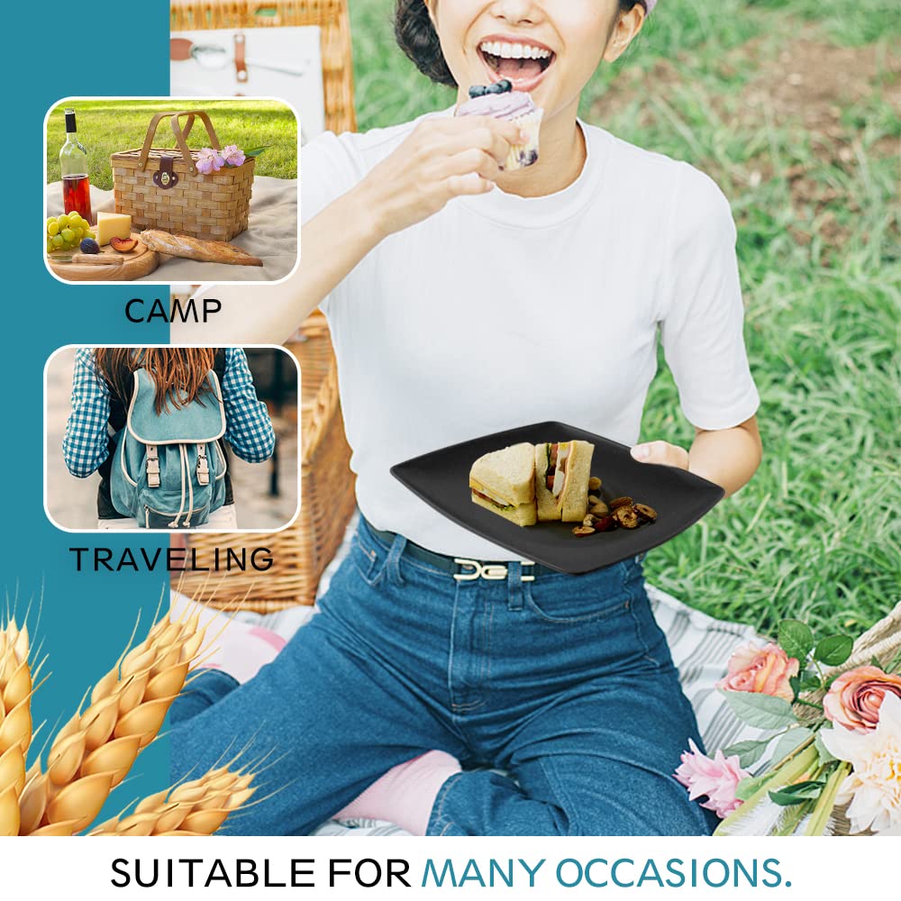 Teivio dishwasher and freezer safe dinnerware set in black matte.