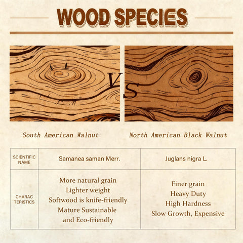 Tellurixara artisan walnut finish highlights craftsmanship.