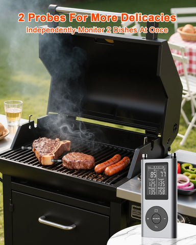 TEMMIO dual-probe setup for tracking meat and ambient temperature.